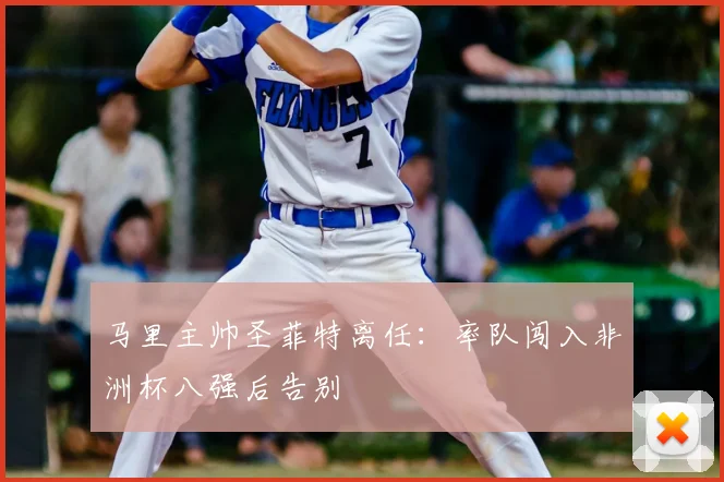 马里主帅圣菲特离任：率队闯入非洲杯八强后告别